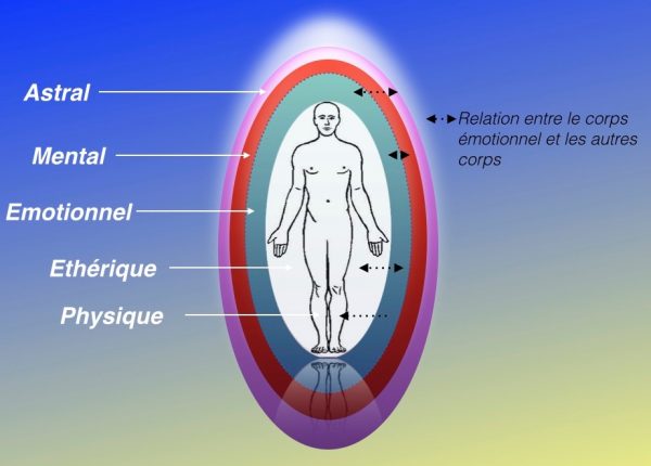 Les Cycles De Formation Rpc© Réflexologie Plantaire Consciente